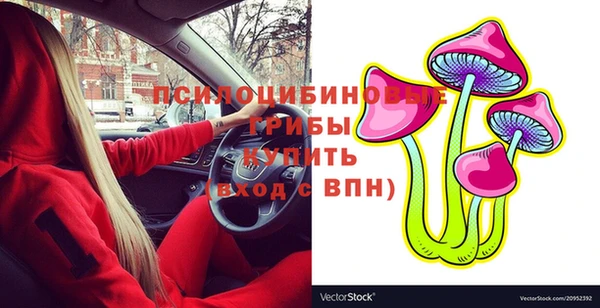 винт Вяземский